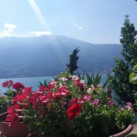 Tatil Evi Ortensia *